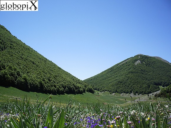 Parco del Pollino