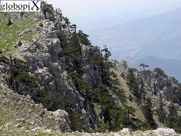 Parco del Pollino