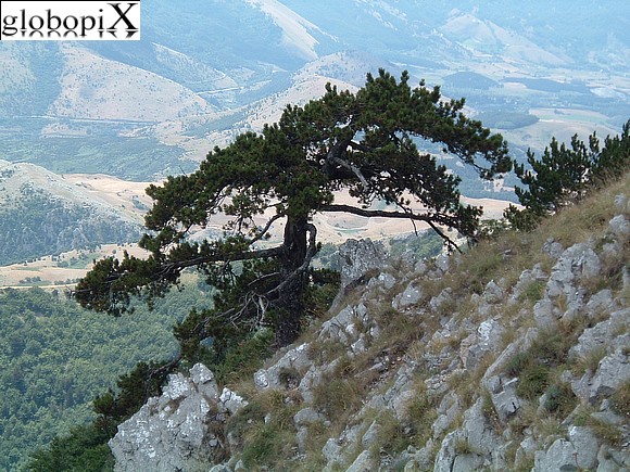 Parco del Pollino