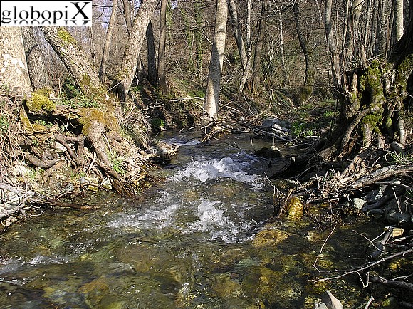 Torrente Peschiera