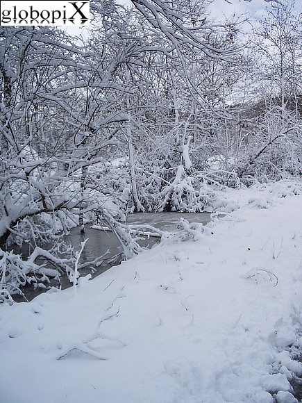 Neve al Pollino