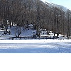 Photo: 