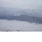 Photo: 