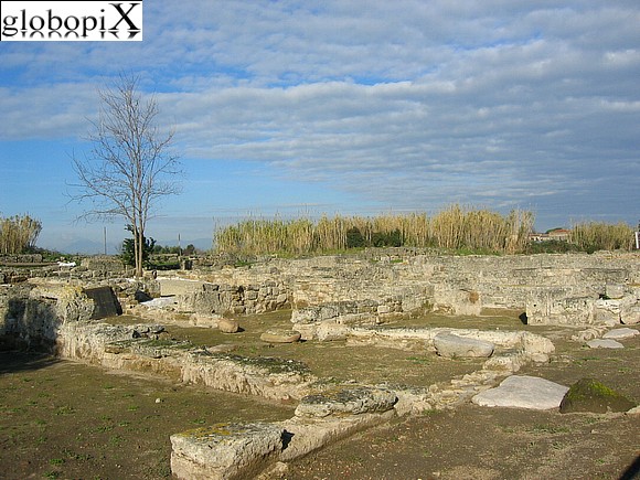 Paestum - Agor Greca