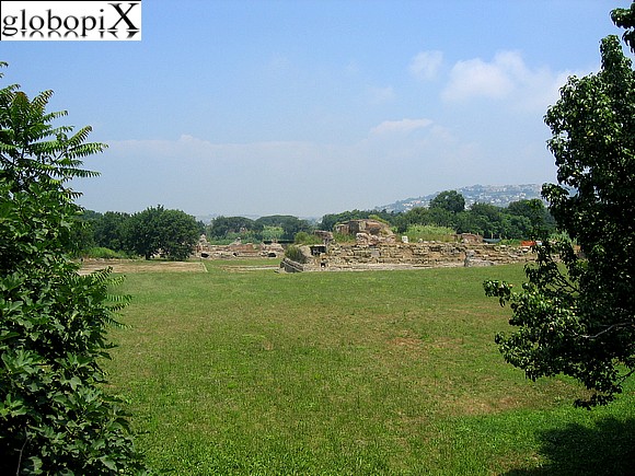 Campi Flegrei - Citt� Bassa di Cuma with the Foro