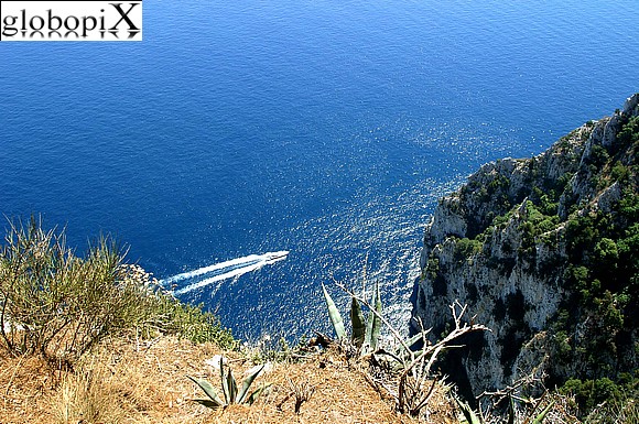 Capri - Scogliera di Capri