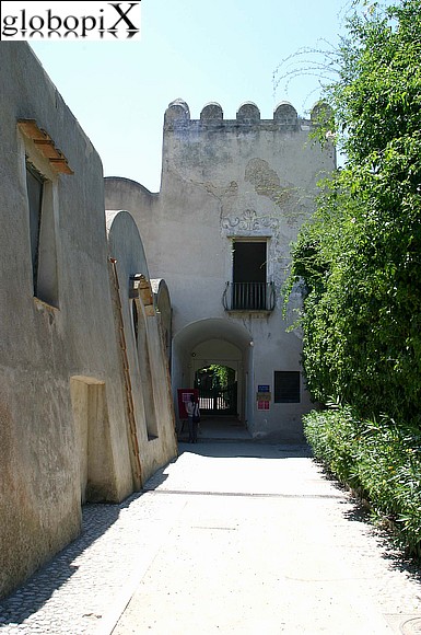 Certosa di S. Giacomo