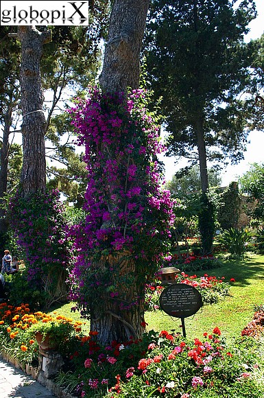 Capri - Giardini di Augusto
