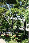 Giardini di Augusto