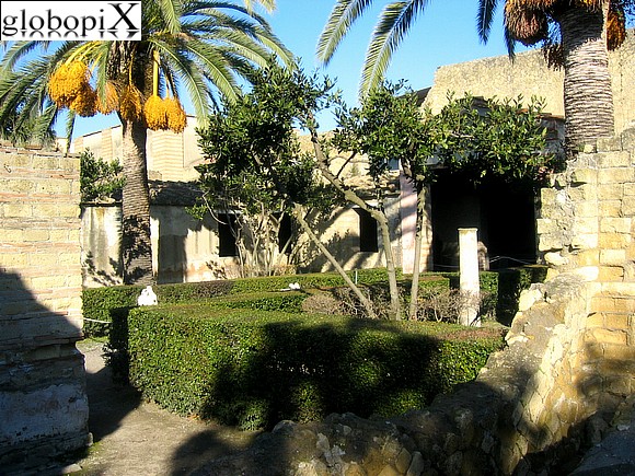 Ercolano - Casa dei Cervi