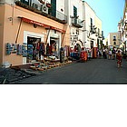 Forio