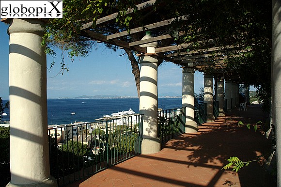 Ischia - Villa Arbusto