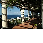 Villa Arbusto