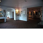 Villa Arbusto