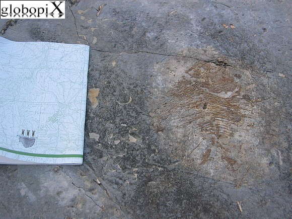 Matese - Parco geopaleontologico