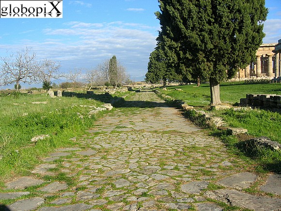 Paestum - Via Sacra