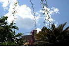 Foto: Villa Rufolo