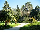 Foto: Giardino Inglese