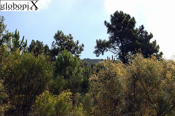 Vesuvio - Vesuvio