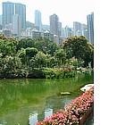 Foto: Hong Kong - Giardino Botanico