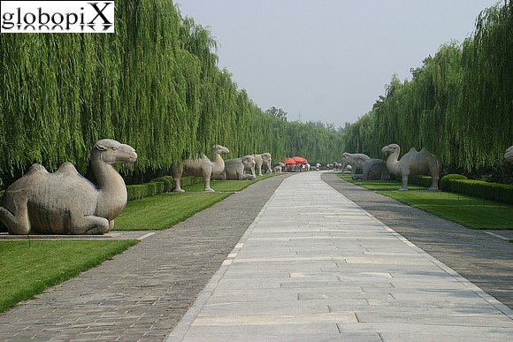 Tombe Ming - La Via Sacra