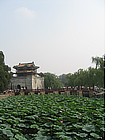 Photo: The Summer Palace