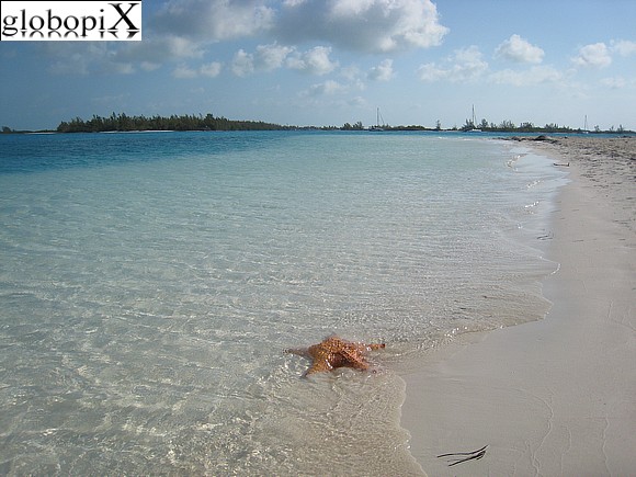 Cayo Largo - Spiaggia Sirena Cayo Largo - Spiaggia Sirena