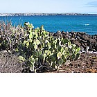 Photo: Isole Galapagos