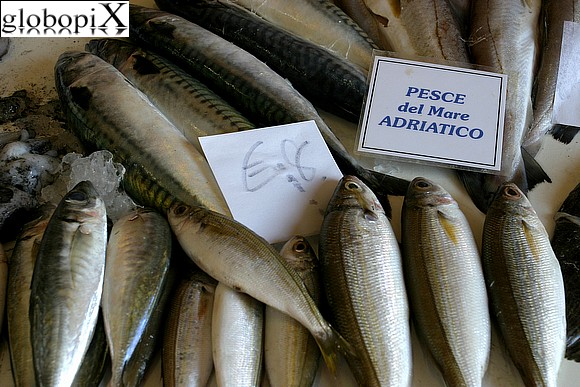 Antica Pescheria