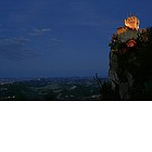 Foto: La Torre della Cesta