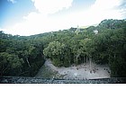 Photo: Foresta pluviale a Tikal