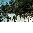 Photo: Palme in riva al mare