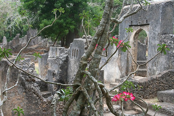 Le rovine dell'antica città di Gede Gedeewatamu_KN02GE004