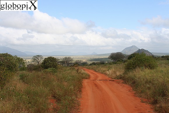 Safari Tsavo - Panorama