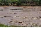 Photo: Hippopotamous