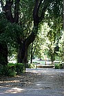 Photo: Parco di Villa Borghese