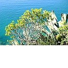 Passeggiata verso Vernazza