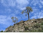 Monte Rebuffao