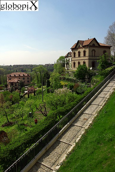 Casa del medico