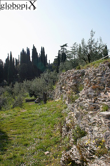 Vegetazione