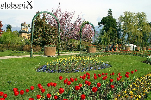 Villa Pallavicino