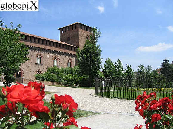 Pavia - Rose garden in Castello Visconteo's garden