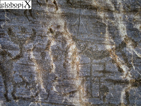 Roccia 50 - Scene di caccia