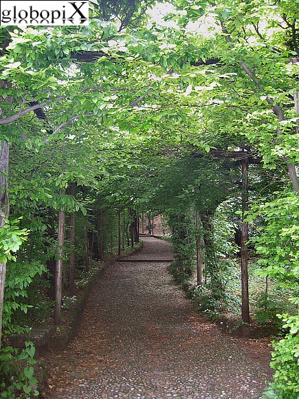 Carpineto nei Giardini Estensi