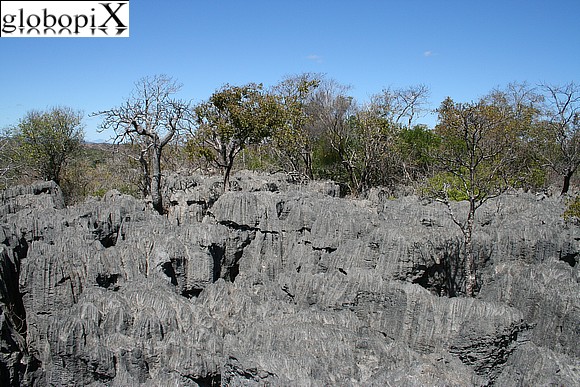 Tsingy Grigi