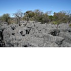 Photo: Tsingy de Bemaraha Strict Nature Reserve