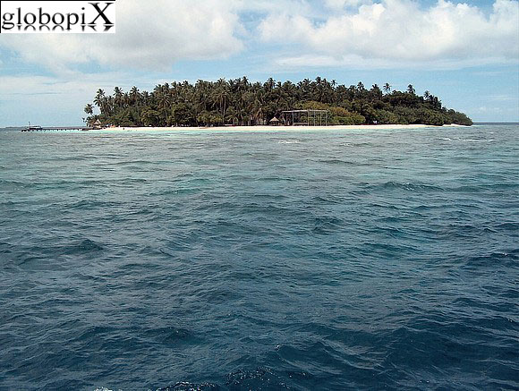 L'isola di Alimatha
