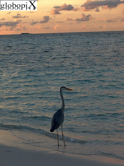 Tramonto