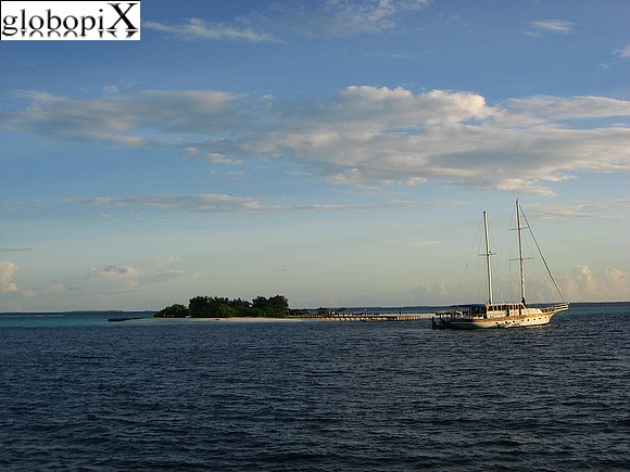 Maafushivaru - Maldive - Lunabo