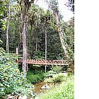 Cameron Highlands